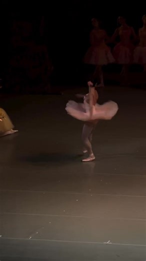 Don Quixote @Oksana Skorik @Mariinsky Theatre @from kirill | Ballet Mon Amour