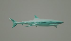 Aircraft Shark Behemoth Trevor Henderson