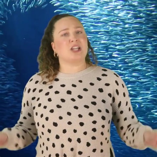 25K views · 247 reactions | Mysterious Underwater Creatures Scientists Discovered Washed Up On Shore | Unsolved Mystery | Facebook