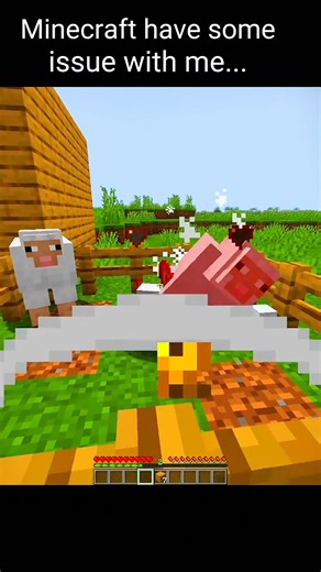 Minecraft have some issue with me...👀#minecraft #shorts