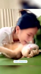 132K views · 4.4K reactions | #cat #cats #kitten #meow #meowing #fyp #funny #love #catlover #kittycat #kitty #cutekitten (338) | State of Cats | Facebook