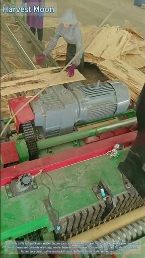 Präzise Furnierherstellung! Rotationsschneidetechnik