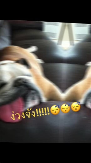 kitty-49 บน TikTok