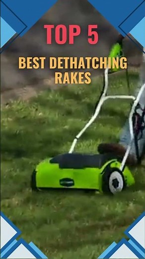 ✅Best Dethatching Rakes