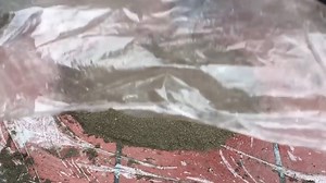 478K views · 1K reactions | DIY - ❤️ CEMENT CRAFT IDEAS ❤️ - Idea making a turtle pots planter at home | DIY & Crafts | Facebook