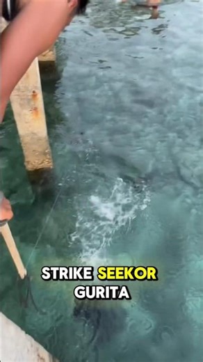 Octopus hunting! Shooting an arrow straight at its head. Can't handle the ink spray!