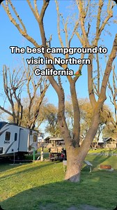 Start planning the best family getaway at our Camp-Resort! | Jellystone Park Tower Park