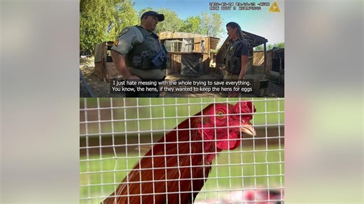 Body cameras contradict WA deputies' timeline in mass rooster shooting