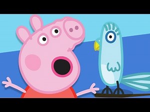 Peppa Pig - Polly Parrot