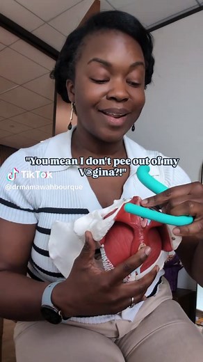 Understanding Your Vulva: Key Anatomy Insights