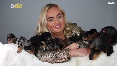 11 Puppies?! This Weiner Dog is a Proud Mama of Almost a Dozen Little Pups