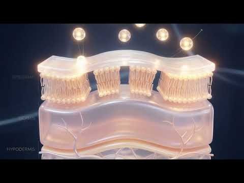 ATPv® Patented Liposomal Adenosine Triphosphate - Cellular Energy in Skin Rejuvenation