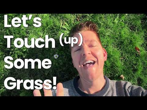 Tip Tuesday - Easily Fix Brown Patchy Grass Lawns