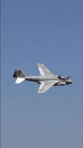 Flight of the Intruder: Custom Freewing A-6 Slow-Mo Showcase