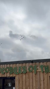 A flying visit!!! You never quite know what you’ll see here at the UK’s only Crocodile Zoo!! Today’s treat was the RAF’s Red Arrows, and fortunately Shaun was in the car park and managed to capture it on camera 👏🐊 | Crocodiles of the World