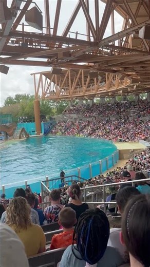 Shamu Stadium One Ocean Orlando