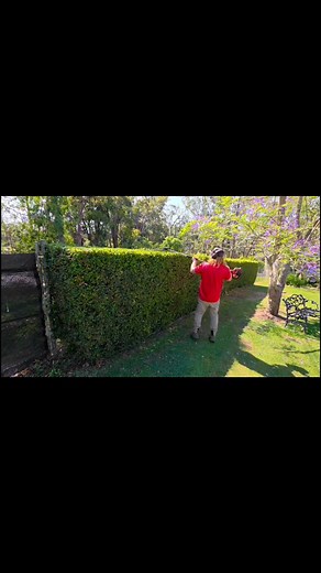 Perfect lines. Clean cuts. Timeless results. 🌿 At Big Red’s Lawn & Garden Maintenance, precision isn’t optional — it’s the standard. ✂️✨ Lawns a mess? Gardens wild? Big Red’s got you covered – Call 0413 316 792 or click the website link on our Facebook page to request a free quote. 🌿 | Big Red's Lawn & Garden Maintenance