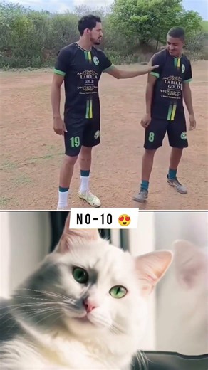 Pov Favorite😍 Number 10 #tiktok #fun #memes
