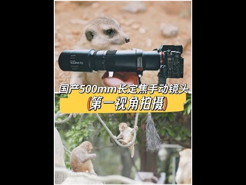 手动对焦+500mm 超长定焦镜头能手持拍摄 ? 500毫米超长焦距，但没防抖，还是手动对焦的估计听到这些参数劝退一大堆人没错，有钱当然不要买这些镜头正正经经买支原厂自动对焦大光圈大炮头就完事