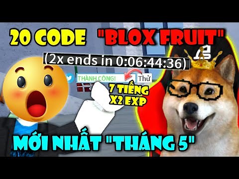 Tổng Hợp 20 Mã Code X2 Kinh Nghiệm Và Reset Chỉ Số Stats Mới Nhất Tháng 5 Trong Blox Fruit | Roblox
