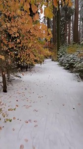 A rare view of fall and winter in Sequoia National Park. Details in comments. #hikingadventures #adventuretravel #naturelovers #ScenicViews | The Nature Seeker