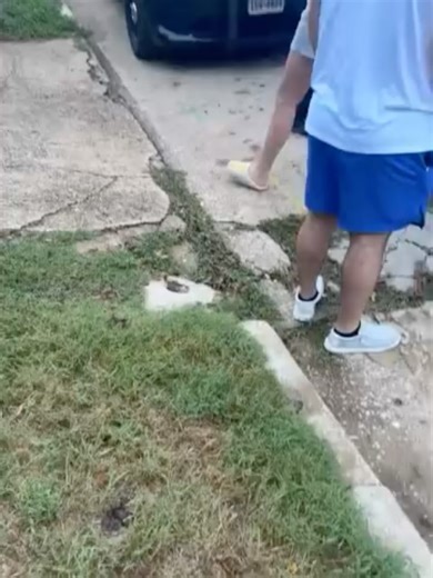 Texas Mugshawtys on Instagram: "Assault causing bodily injury #texas #mugshawty"