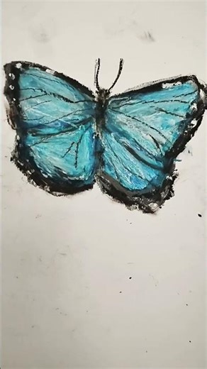 oil pastel drawing of a blue morpho butterfly #oilpastel #art #butterfly