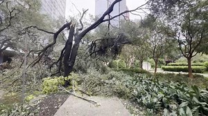 See photos and videos from Hurricane Beryl's aftermath in the Houston area