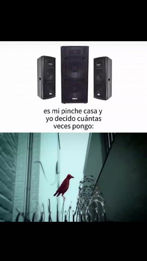 Exploring System of a Down's Iconic Track 'Question'