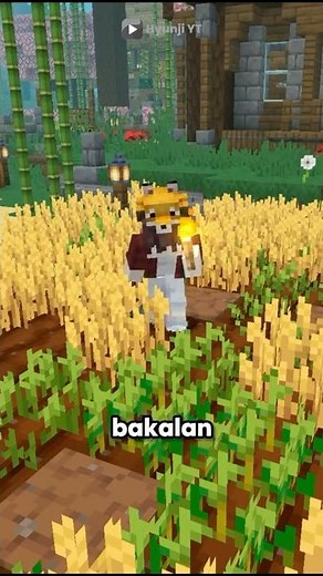 Addon Of Hand For MC Bedrock!