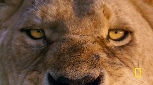 Queens (TV Series 2024– )