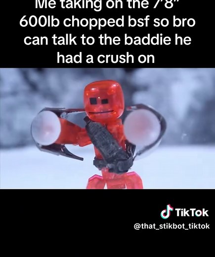 That Stikbot TikTok on TikTok