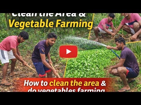 My Village Farming Vlog 🌿 | How I Cleaned & Started Farming