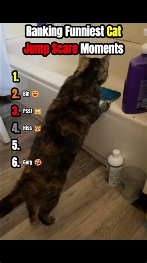 Ranking Funniest Cat Jump Scare Moments 😹😱