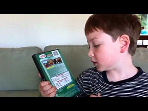 My Collection of Thomas DVD's