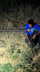 1.4M views · 19K reactions | மலைப்பாம்பு -Indian Rock Python #snake #python #nature #wildlife #reels #reelsvideo | Wild Nocturnal | Facebook