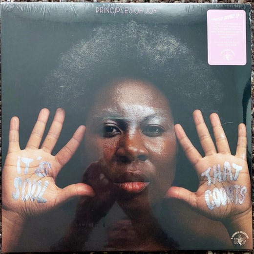 Principles Of Joy - It's Soul That Counts