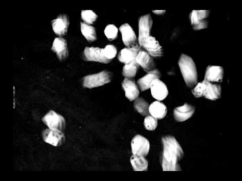 Probability Space