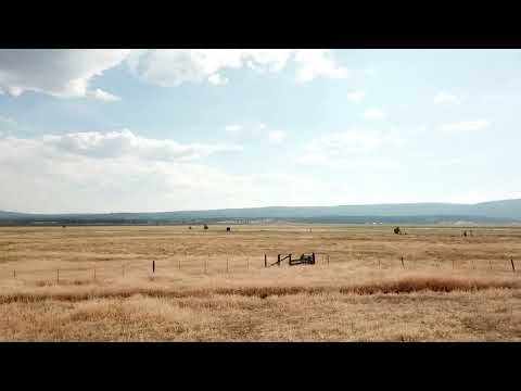 DJI Drone RaNCh & CatTle