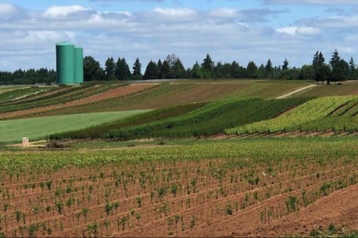 Construction halted on $2 billion Bull Run water treatment plant