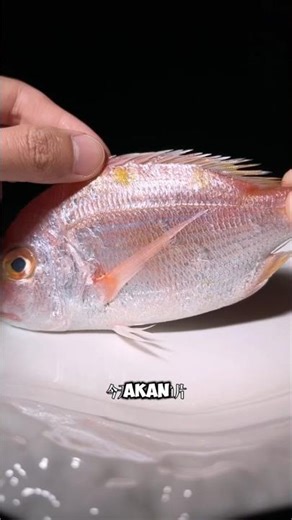 ikan ini naik level Setelah di masak #shorts #shortvideo