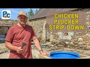 Homemade Chicken Plucker Strip Down