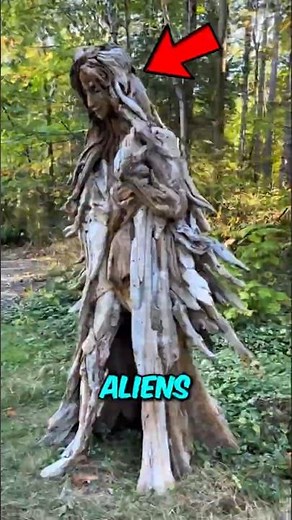 Top 3 Trees That Look Like Aliens from Another Galaxy 🌳👽