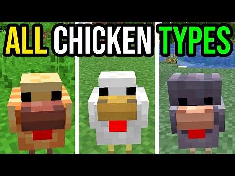 How To Find EVERY Chicken Variant In Minecraft!