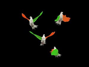 Indian flag Green screen celebration moment animation
