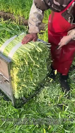 #fyp #viral #unfreezemyaccount #Azeemgh5#foryou #fyp #viral #unfreezemyaccount# #foryou