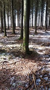 415K views · 10K reactions | Band of Brothers, Doc Roe in Bastogne - the REAL Location #bandofbrothers #easycompany #docroe #eugeneroe #bastogne | History In Your Hand | Facebook