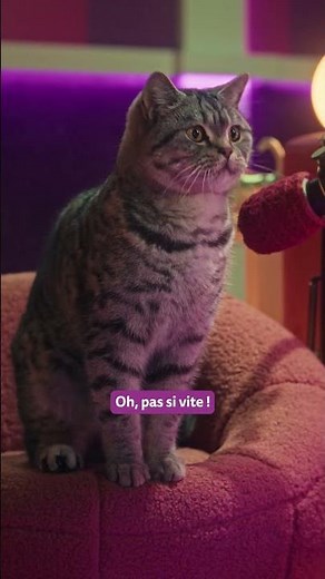 Eau Potable Pour Chats | Soins Et Santé | Whiskas® Podcast des ronrons
