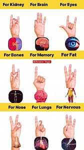 9 Amazing Hand Mudras ✅️ Good For For Kidney For Brain For Eyes For Bones For Memory For Fat For Nose For Lungs For Nervous Do 5 minutes daily with both hands Sourav Yoga #yoga #mudra #lungs #fat #memory #brain #bone #eyes #nose #brainhealth #memory #nervoussystem #kidney #fatloss #practice #viral #viralreels #trendingreels #fitnessjourney #usa #canada #london #virals #reels #trend #reel #spain #brazil #exploremore | Sourav Yoga