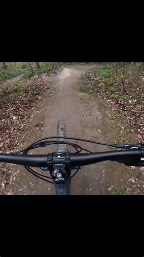 weingarten bikepark